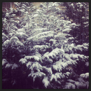 snow day