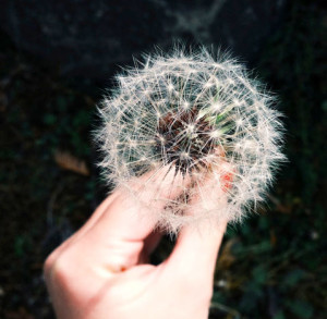 five quotes i stole from yoga that apply to everything