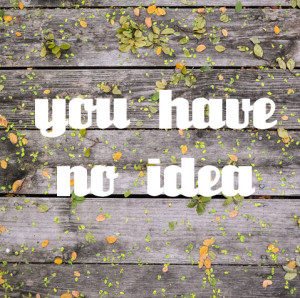 you have no idea